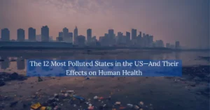 The 12 Most Polluted States in the US And Their Effects on Human Health
