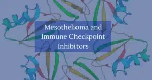 Mesothelioma and Immune Checkpoint Inhibitors