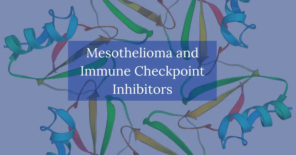 Mesothelioma and Immune Checkpoint Inhibitors