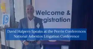 David Halpern Speaks at the Perrin Conferences National Asbestos Litigation Conference