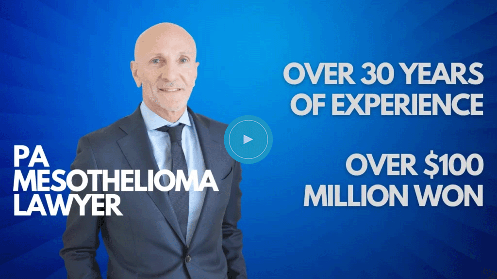 Mesothelioma Lawyer Cover