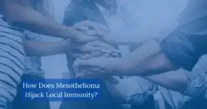How Does Mesothelioma Hijack Local Immunity?
