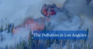 pollution in Los Angeles