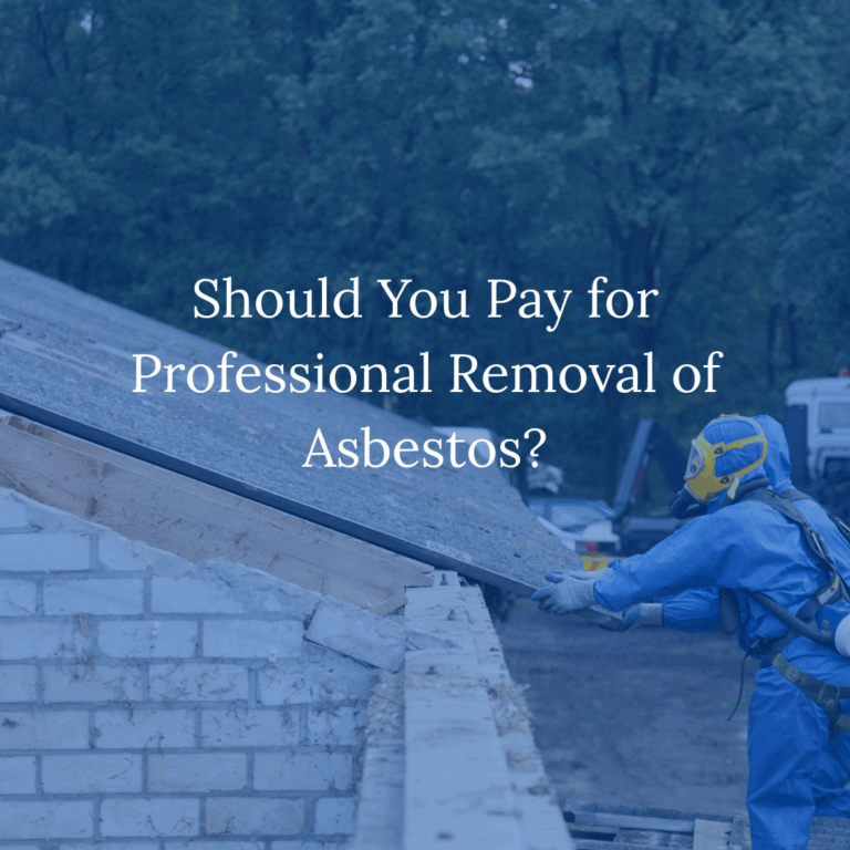 Should You Pay for Professional Removal of Asbestos
